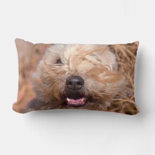 Almofada Lombar Retrato de Soft Coated Wheaten Terrier