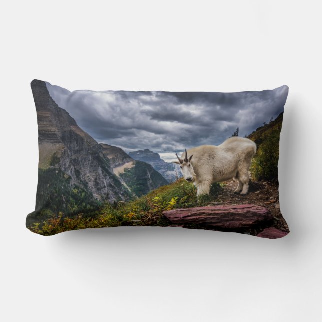 Almofada Lombar Rocky Mountain Goat (Frente)