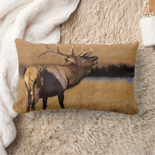 Almofada Lombar Roosevelt Eull Elk Wyoming