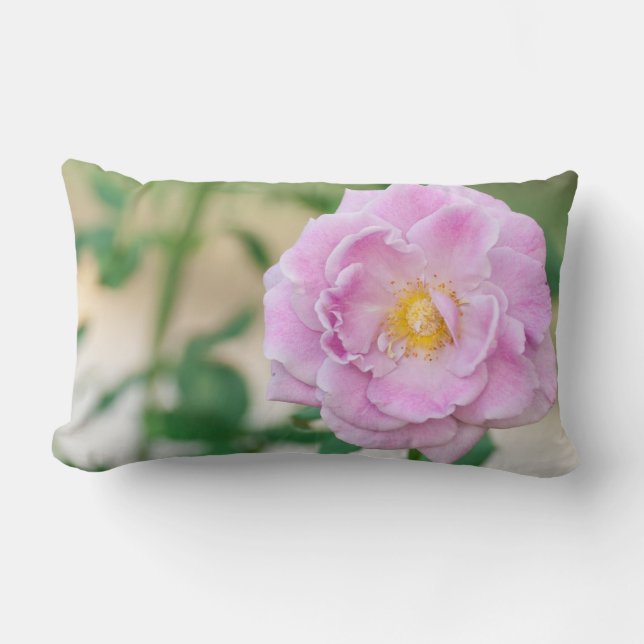 Almofada Lombar Rosa Briar (Frente)