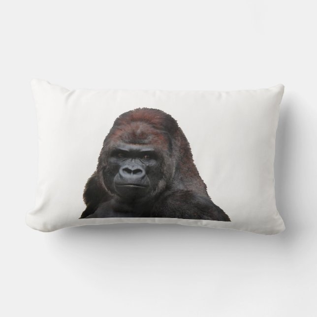 ALMOFADA LOMBAR SÁBIO (Frente)