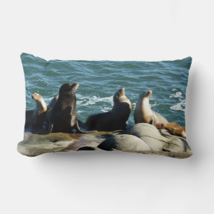 Almofada Lombar San Diego Sea Lions