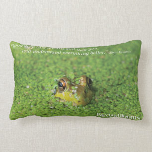 Almofada Lombar Sapo em algas verdes
