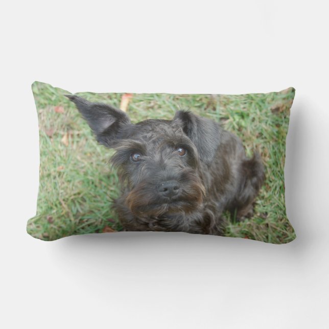 Almofada Lombar Schnauzer preto (Frente)