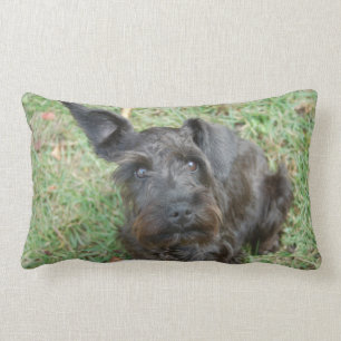 Almofada Lombar Schnauzer preto