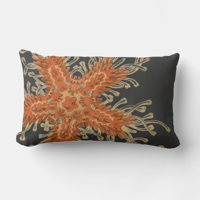 Almofada Lombar Sealife do vintage de Haeckel (Frente)