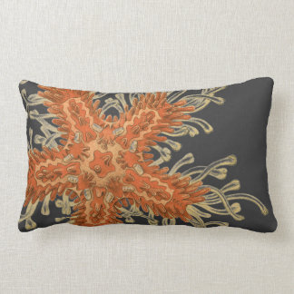 Almofada Lombar Sealife do vintage de Haeckel