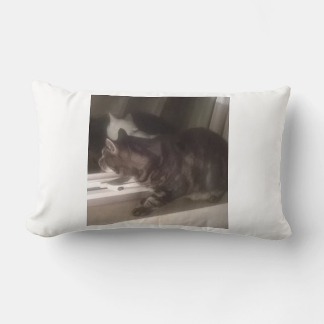 Almofada Lombar Sem falar com Dave Lumbar Cushion 33 x 53 cm (Frente)