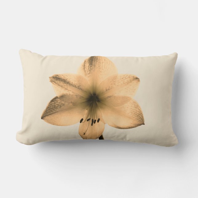 Almofada Lombar sepia amaryllis (Frente)