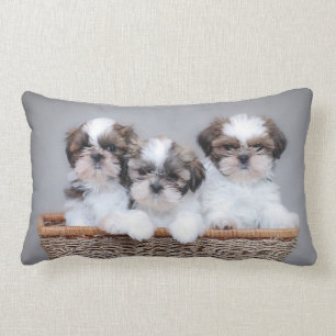 Almofada Lombar Shih Tzu puppies