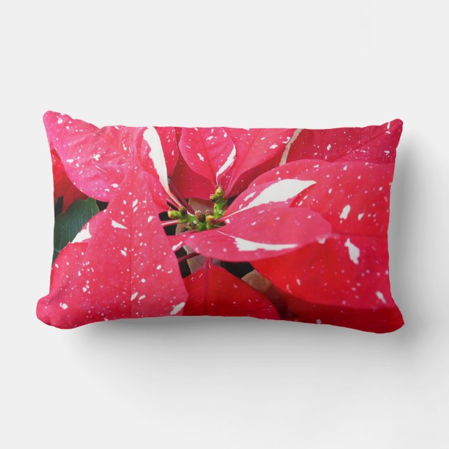 Almofada Lombar Shimmer Star Surprise Poinsettia Foliday Floral (Frente)