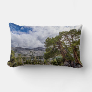 Almofada Lombar Sierra Juniper e Árvores Sempre Verdes