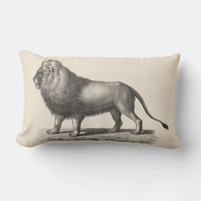 Almofada Lombar Sketch Brodtmann Lion (Frente)