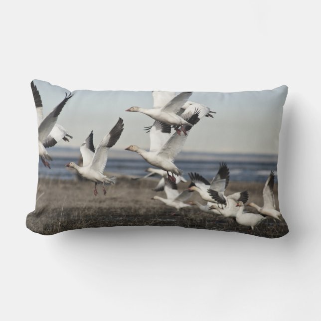 Almofada Lombar Snow Geese Voadora (Frente)