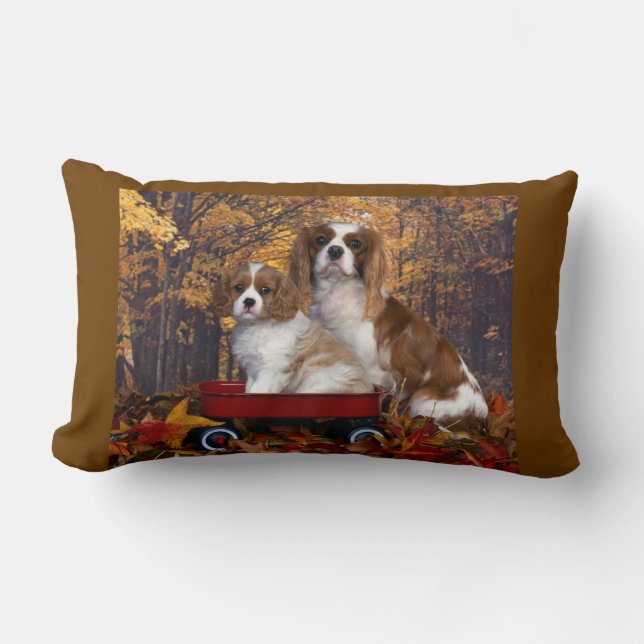 Almofada Lombar Spaniel de rei Charles descuidado (Frente)