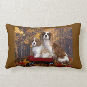 Almofada Lombar Spaniel de rei Charles descuidado