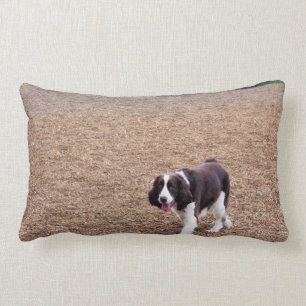 Almofada Lombar Spaniel de Springer brincalhão