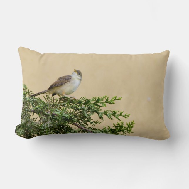 Almofada Lombar Sparrow (Frente)