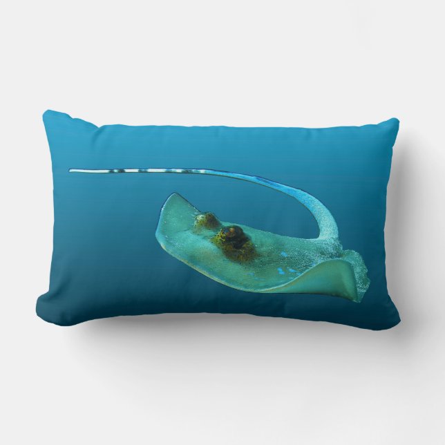 Almofada Lombar Stingray em movimento! Fundo azul gradiente | (Frente)