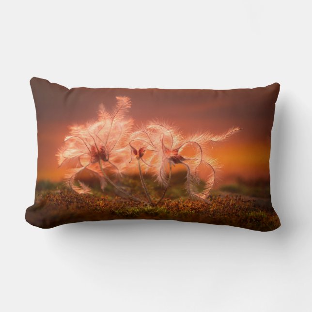 Almofada Lombar Sunset Macro Nature Scene of Moss and Plant  (Frente)