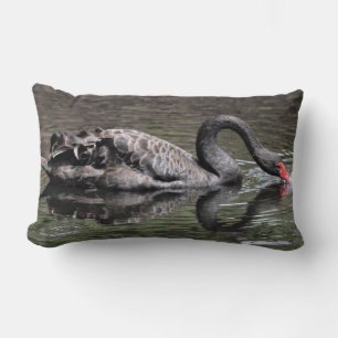 Almofada Lombar Swan Negro