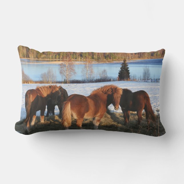 Almofada Lombar Tempo de alimentação (Frente)