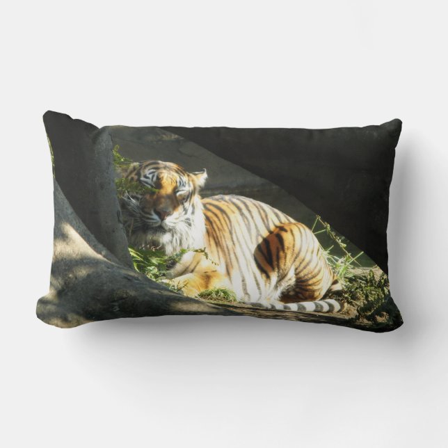 Almofada Lombar Tiger Catnap (Frente)