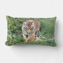 Tigre fotográfico, animais. travesseiro decorativo