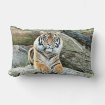 Tigre fotográfico, animais. travesseiro decorativo