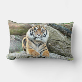 Almofada Lombar Tigre fotográfico, animais. travesseiro decorativo