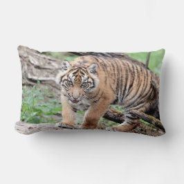 Almofada Lombar Tigre fotográfico, animais. travesseiro decorativo