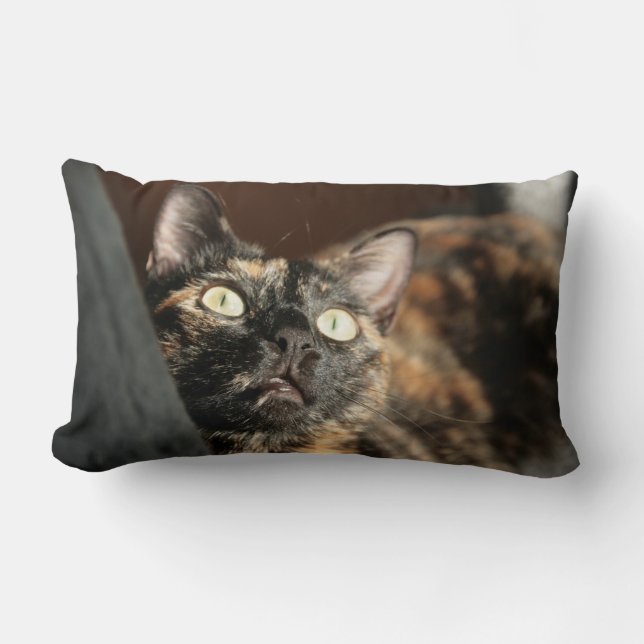 Almofada Lombar tortie cat pillow (Frente)