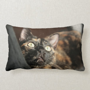 Almofada Lombar tortie cat pillow