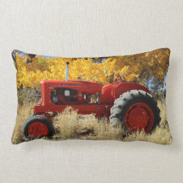 Almofada Lombar Travesseiro Allis Chalmers Tracter Lumbar 1955 WD4