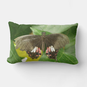 Almofada Lombar Travesseiro da borboleta do Swallowtail de Escarle