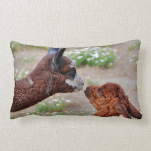 Almofada Lombar Travesseiro das alpacas