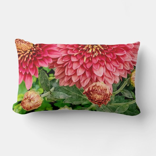 Almofada Lombar Travesseiro das Flores Chrysanthemum Peach Cozy Br (Frente)