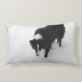Almofada Lombar Travesseiro de border collie
