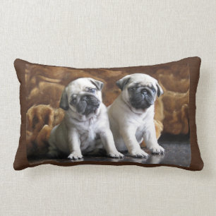 Almofada Lombar Travesseiro de dois Pugs