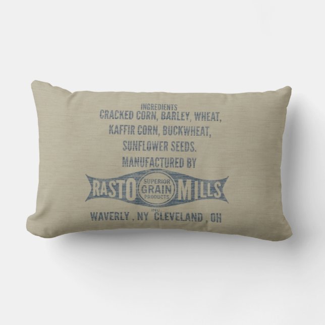 Almofada Lombar Travesseiro de Grainsack (Frente)