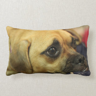 Almofada Lombar Travesseiro de Puggle