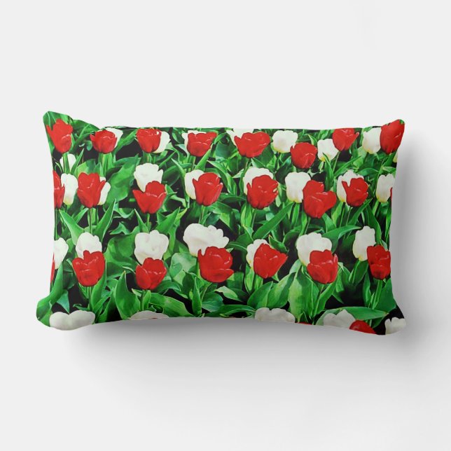 Almofada Lombar Travesseiro Decorativo (Frente)