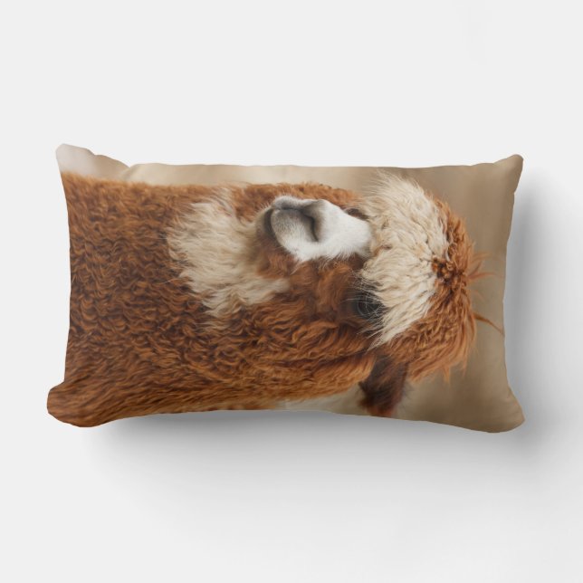 Almofada Lombar Travesseiro decorativo Alpaca (Frente)