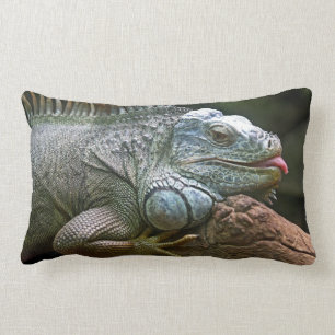 Almofada Lombar Travesseiro decorativo da iguana