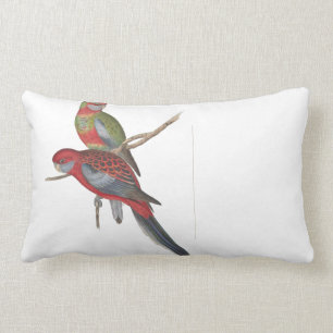 Almofada Lombar Travesseiro decorativo de Rosella