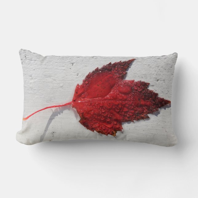Almofada Lombar Travesseiro decorativo de Themed Canadense (Frente)