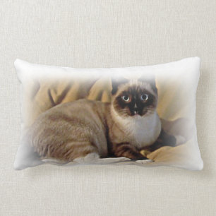 Almofada Lombar Travesseiro decorativo do gatinho do salvamento do