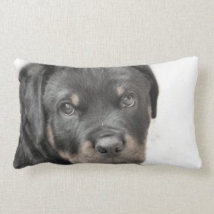 Almofada Lombar Travesseiro decorativo do lumbar do cão de