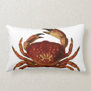 Almofada Lombar Travesseiro decorativo do Lumbar do caranguejo de