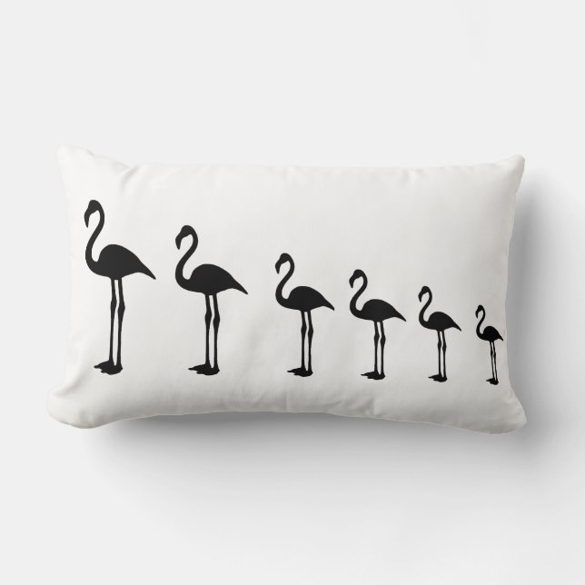 Almofada Lombar Travesseiro decorativo Flamingo Evolution (Frente)